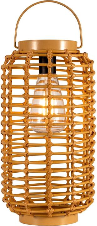 Actual product image Pauleen Solar Lantern Sunshine Darling (1 x)