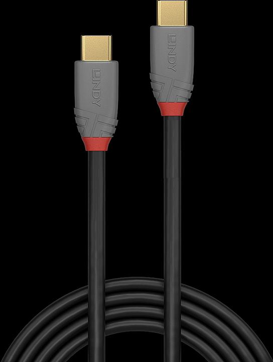 Produktbild Lindy Anthra Line (1 m, USB 3.1)