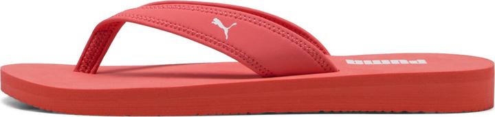 Puma Sandy Flip (39)