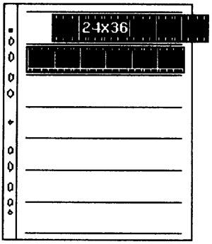 feuilles de classement des négatifs - 100x glassine (Boîte)