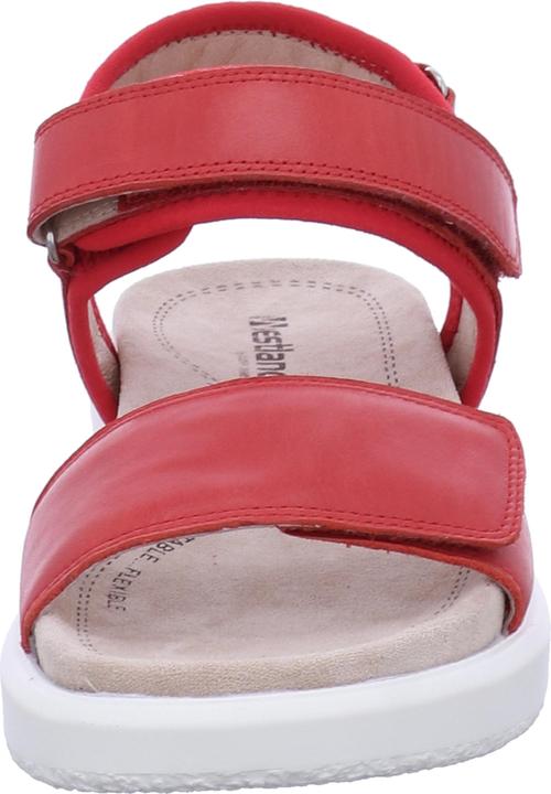 Actual product image Westland 25401-410 (40)