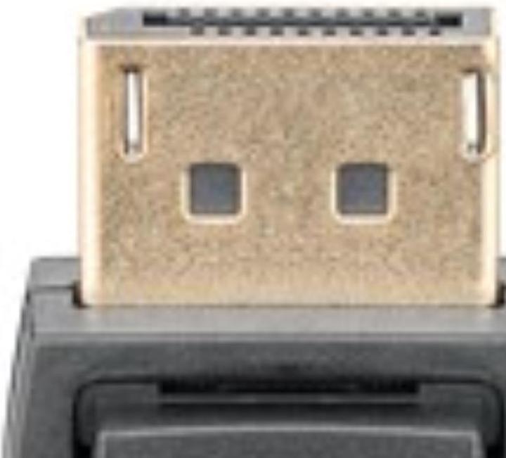 Actual product image Goobay DisplayPort — DVI (1 m, DisplayPort)