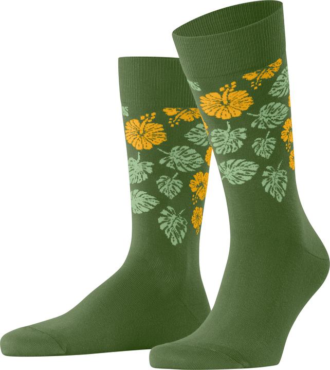 fir green