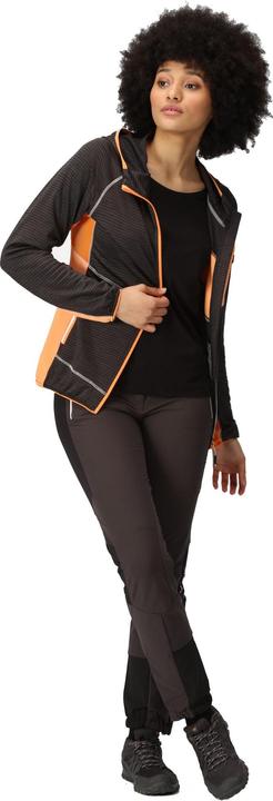 Produktbild Regatta Attare II Jacke (40 D)