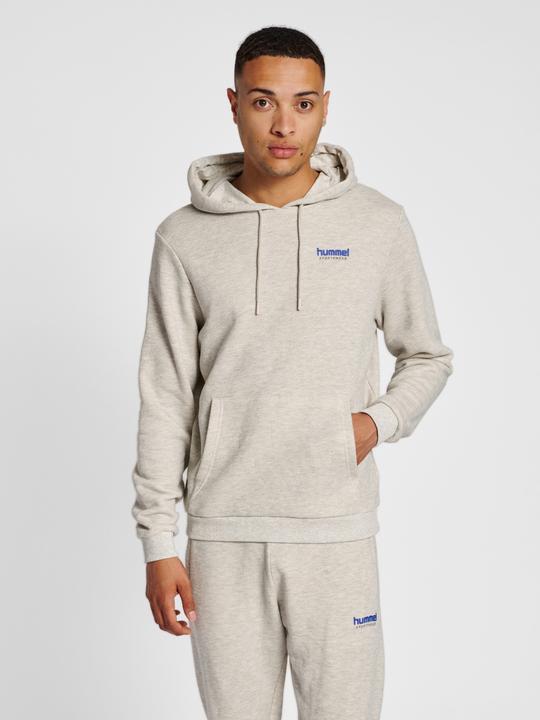 Actual product image hummel Lgc Austin Hoodie (XXL)