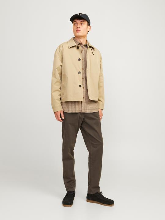 Actual product image Jack & Jones JPSTACE JJHARLOW CHINO NOOS Chino trousers (W29/L32)
