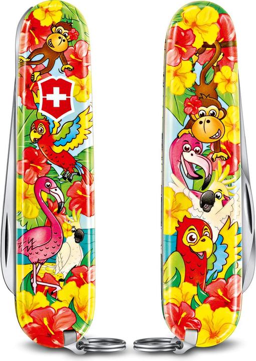 Image du produit Victorinox Couteau de poche