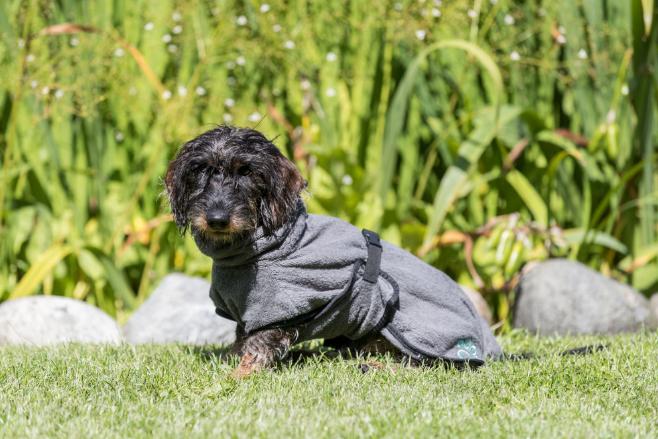 Immagine prodotto Trixie Accappatoio Frotee (M, Accappatoio per cani)