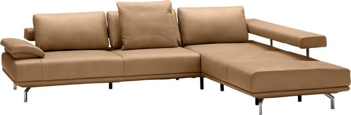 Cat. 56, Torro nougat