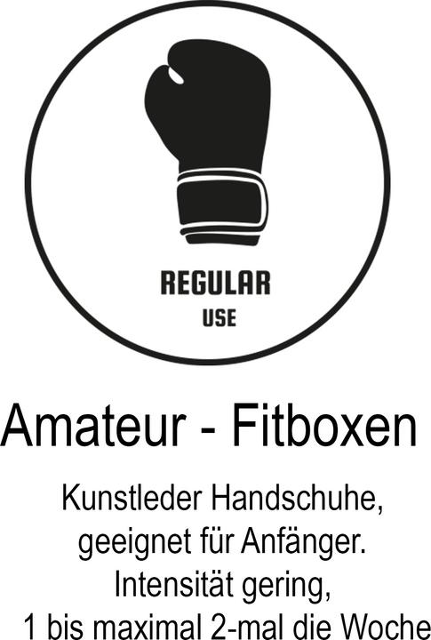 Image du produit Phantom Athletics Gants de boxe Muay Thai - Limited Silver Edition (14 OZ, Taille unique)