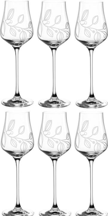 Leonardo Grappaglas Boccio 210 ml, 6 Stück, Transparent (2.10 dl, 6 x, Likörgläser + Grappagläser)