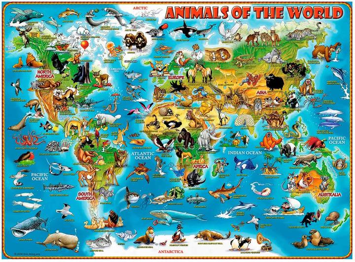 Actual product image Ravensburger Animals around the world (300 pieces)