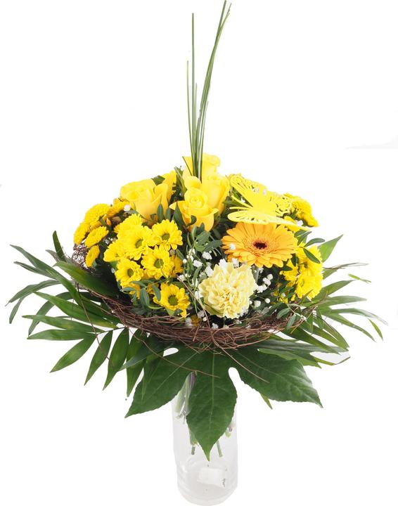 Immagine prodotto Migros Ostschweiz Struzzo Biedermeier grande (Fiori recisi)