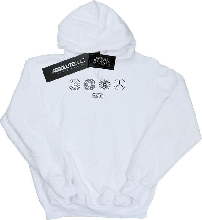 Image du produit Fantastic Beasts - Sweat à capuche CIRCULAR ICONS - Homme (XL)