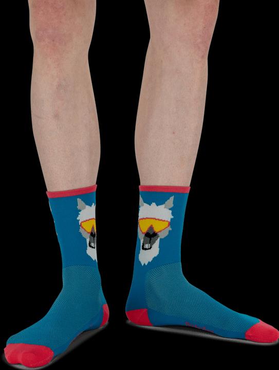Image du produit Dirtysox Lama (XL)