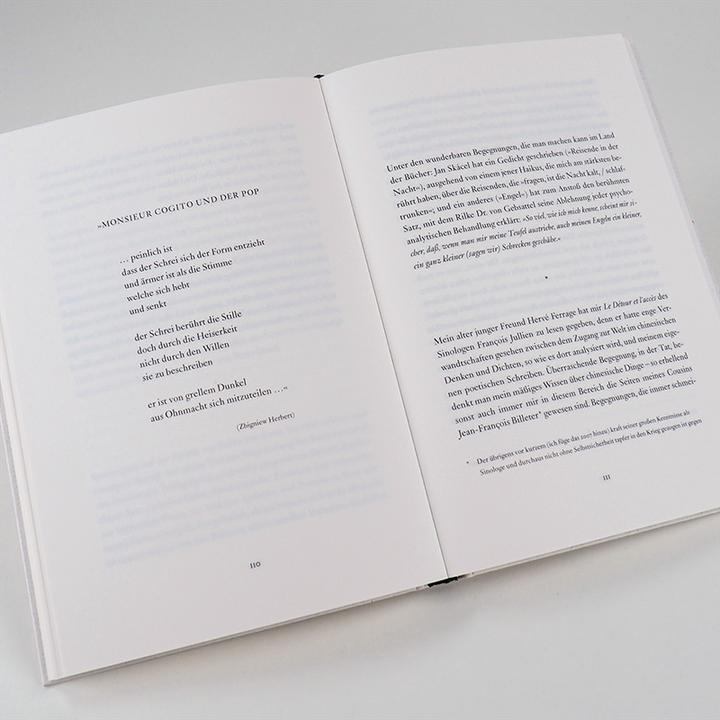 Produktbild Die wenigen Geräusche (Deutsch, Philippe Jaccottet, 2020)