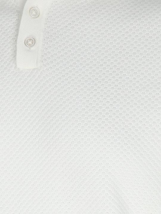 Image du produit Drykorn Poloshirt TRITON 1 (L)