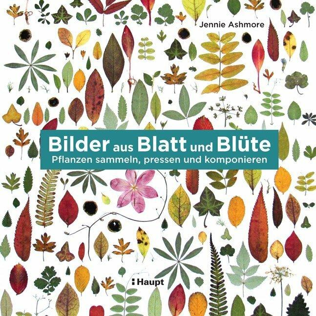 Produktbild Bilder aus Blatt und Blüte (Deutsch, Jennie Ashmore, 2019)