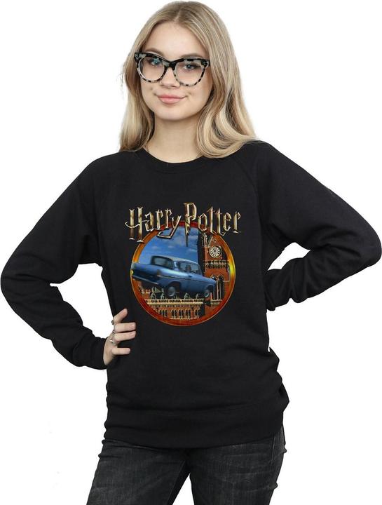 Produktbild Flying Car Sweatshirt (L)