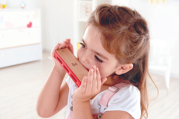 Actual product image Hape Blues harmonica (German, French, Italian, English)