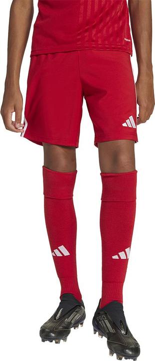 Actual product image adidas Tastigo25 Short Kids (152)