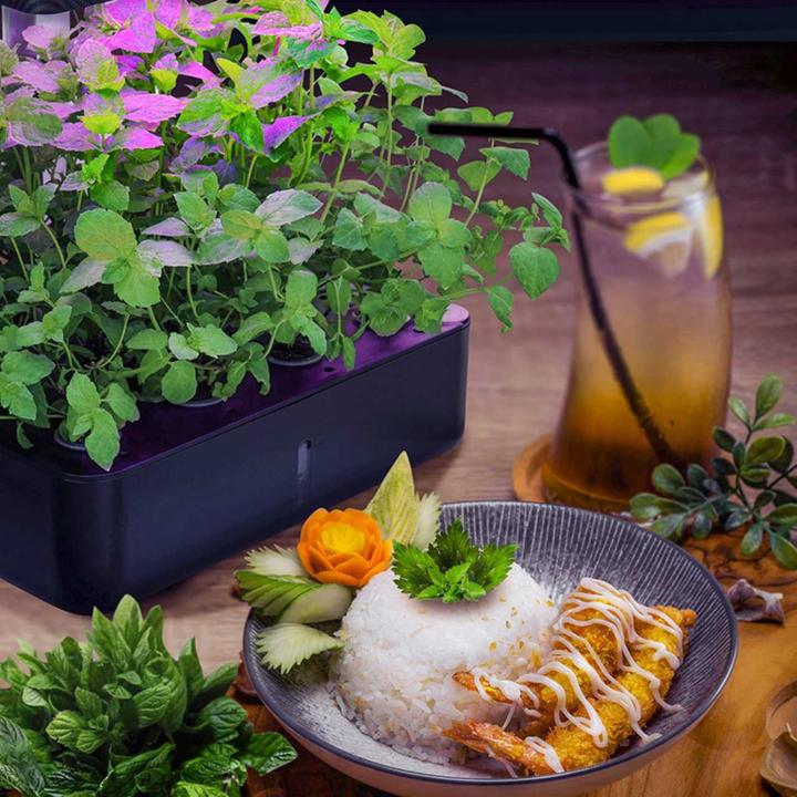 Actual product image Litrax LX202 - ROBIN salad garden