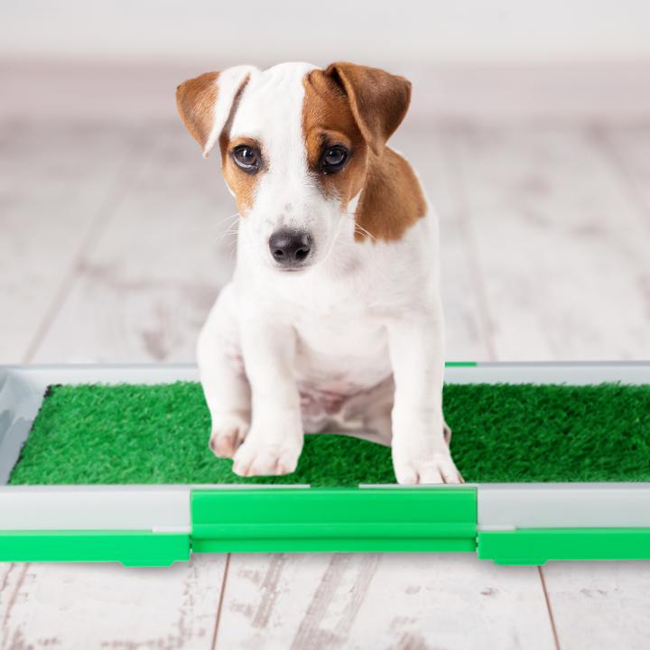 Immagine prodotto Relaxdays Toilette per cani (Cane)