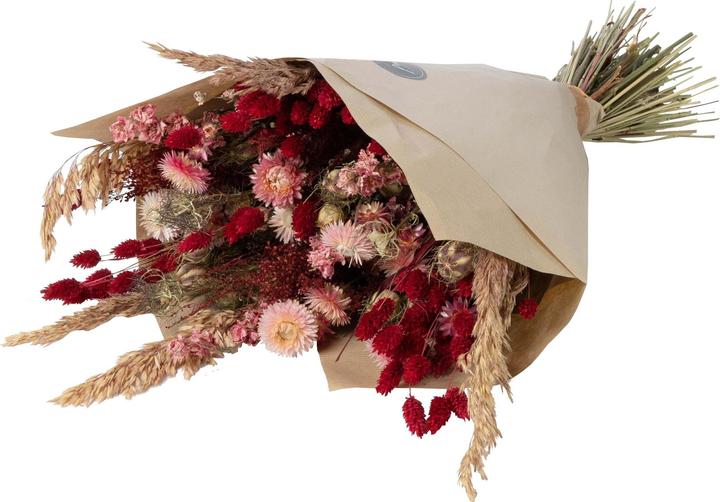 Actual product image Anjel Dried Flower Bouquet Pink Large (Dried flowers)