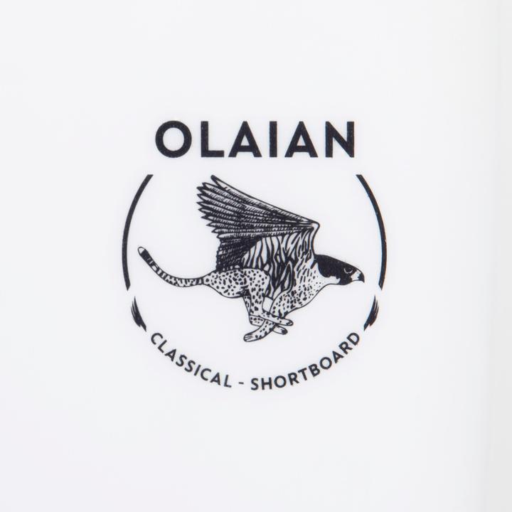 Immagine prodotto Olaian BOARD 900