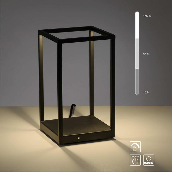 Actual product image Paul Neuhaus Contura (140 lm)