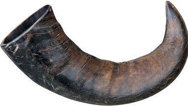 Actual product image Trixie Natural chewing horn from buffalo (Adult, 1 pcs., 150 g)