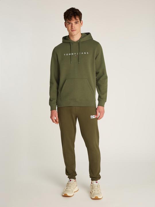 Image du produit Tommy Jeans Tjm Reg Linear Logo Hoodie Ext (XL)