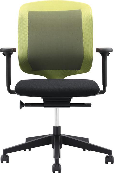 Image du produit Giroflex 434-3019