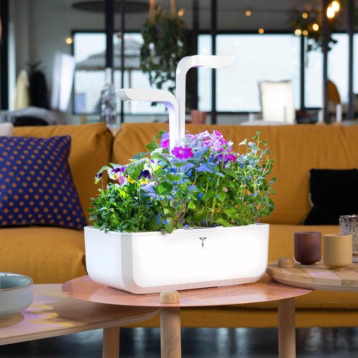 Produktbild Véritable Classic (18.50 cm)