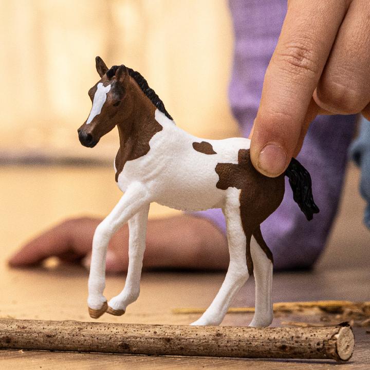 Actual product image Schleich Paint Horse Foal