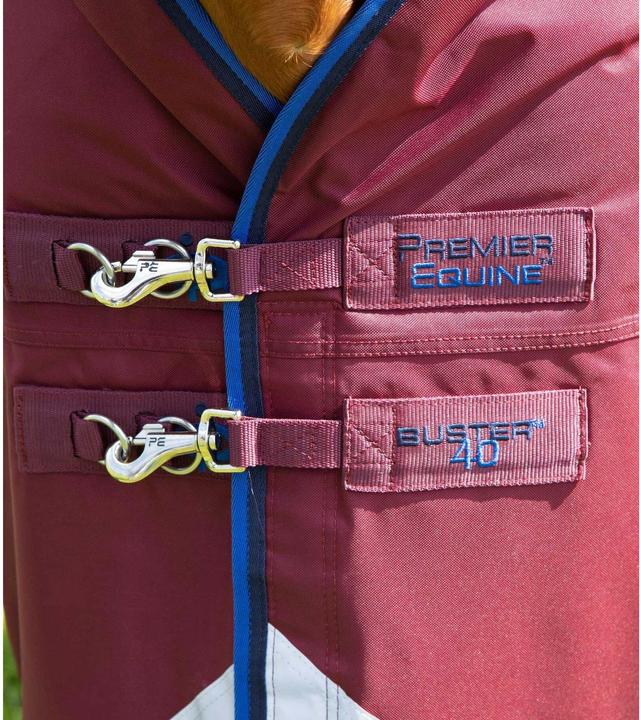 Immagine prodotto Premier Equine Buster 40g (191 cm)