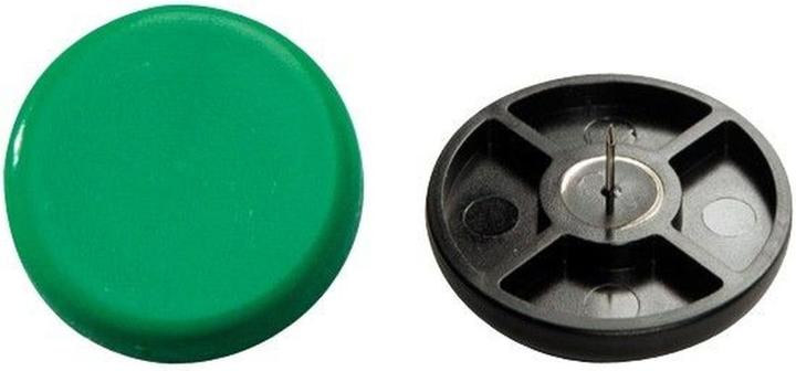 Actual product image Laurel Super Tear Nail 40mm PU=4 pieces green (1 Piece, 40 mm)