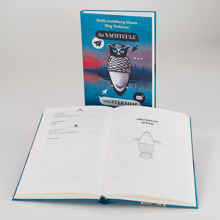 Image du produit A Hibou de nuit de Requin étoilé (Allemand, Meg Wolitzer, Holly Goldberg Sloan, 2019)