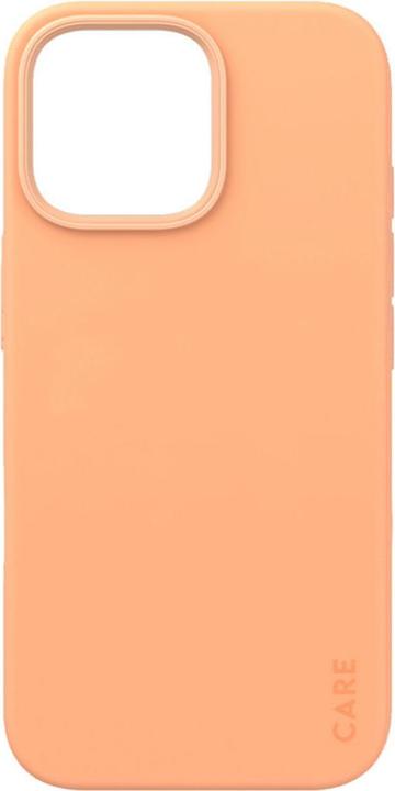 Actual product image Care Case Fashion&MagSafe (Apple iPhone 16 Pro Max)