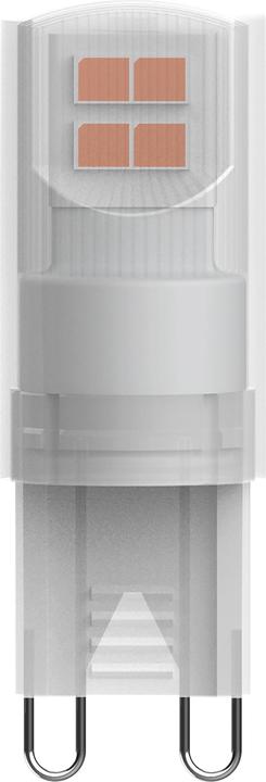 Actual product image Osram LED Pin (G9, 1.90 W, 180 lm, 1 x, F)