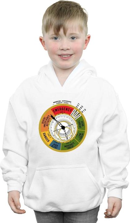 Image du produit Fantastic Beasts - Sweat à capuche THREAT LEVEL - Garçon (116)