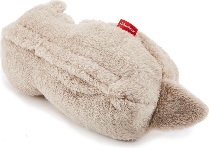 Produktbild Fisher-Price Schlummer-Otter (20.30 cm)