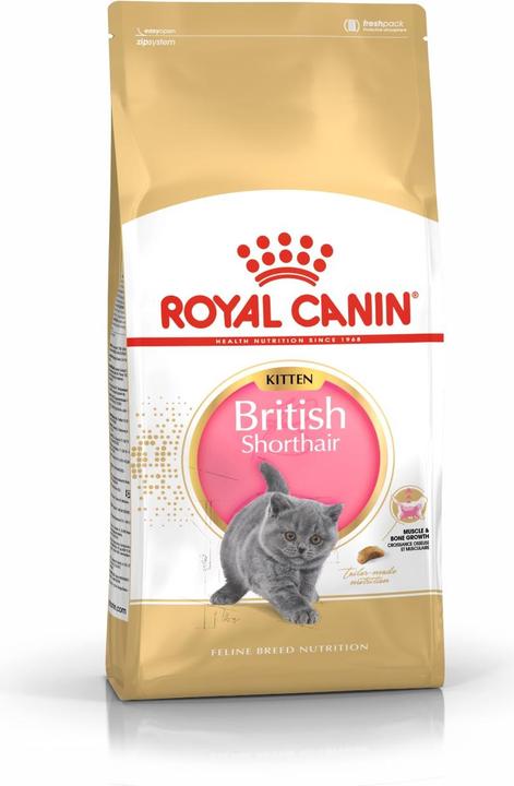 Produktbild Royal Canin British Shorthair (Junior, 1 Stk., 400 g)