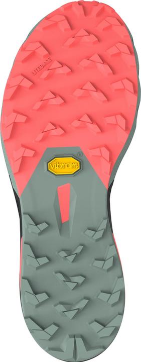 Produktbild Dynafit Alpine Pro 2 Laufschuh (40)
