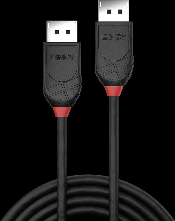 Actual product image Lindy DisplayPort — DisplayPort (1 m, DisplayPort)