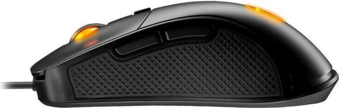 Actual product image Cougar Surpassion (Wireless)