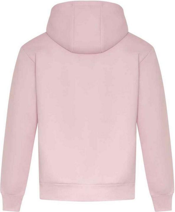 Actual product image Awdis Unisex Adult Signature Heavyweight Hoodie (XL)