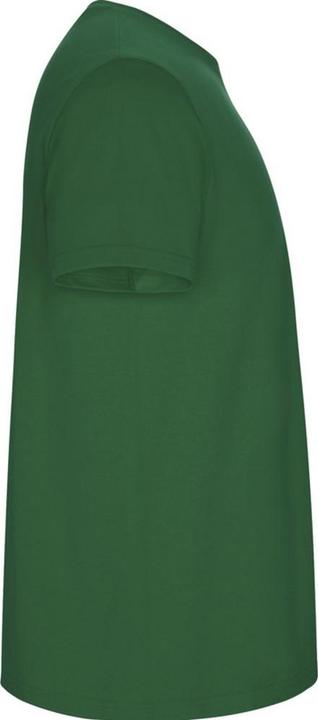 Image du produit Alpinia - T-shirt STAFFORD - Homme (XXL)