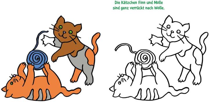 Actual product image Tierkinder