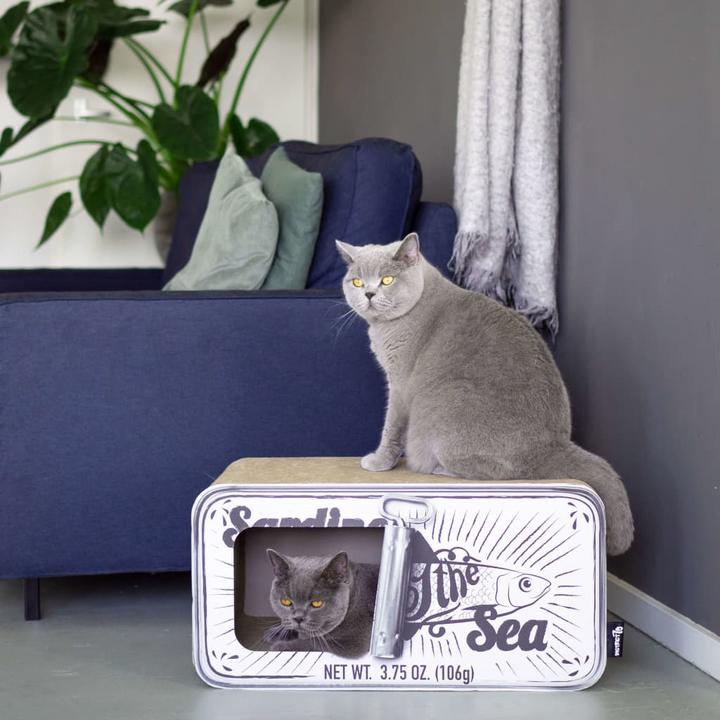 Image du produit District 70 Arbre à chat (30 cm, Blanc)